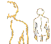 Benutzeravatar