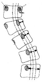 Von oben nach unten: 0, I, II, III und IV