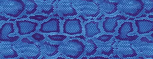 blue_skin_gr.jpg