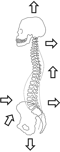 das sind die Korrekturrichtungen. Doch ohne stundenlanges Einüben mit Spiegel und grabsch-Reize von erfahrenen Therapeuten bekommst Du als Anfänger nie mehr als 3 dieser Korrekturrichtungen gebacken!