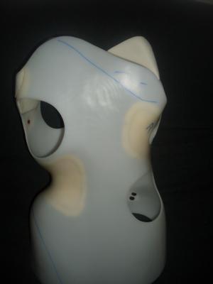 Die linke Schulter konnte nicht weit genug nach hinten, da das Korsett zu hoch war.
<br />Die Pelotte rechts war zu tief der WS Bogen wurde nicht an der richtigen Stelle zurechtgedrückt