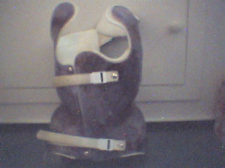 soo....das alte korsett von mir (Moddel Jeans *gg*) ! einma von vorne.....