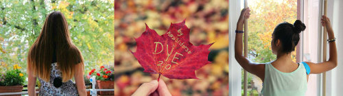 banner.jpg