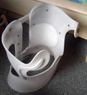 Tageskorsett (WinCE).jpg